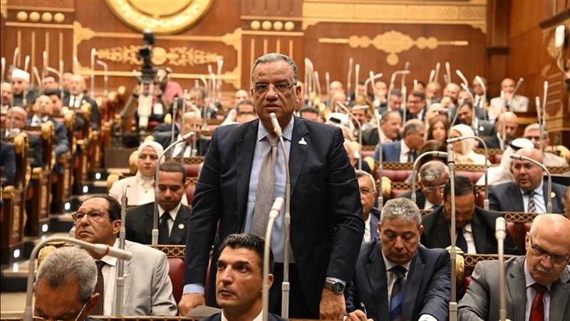 النائب محمود مسلم يطالب بإطلاق “الثورة الصناعية” وتحويل مصر إلى مركز إنتاج عالمي