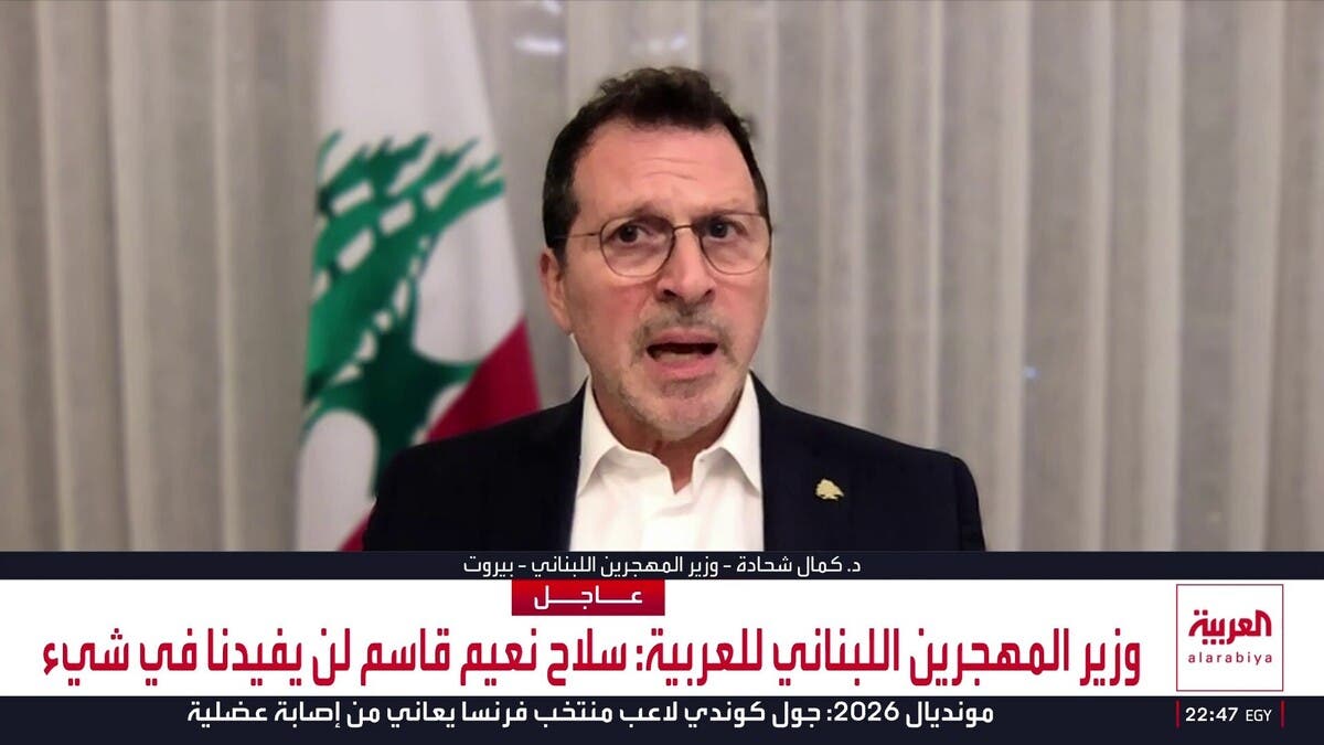 وزير المهجرين اللبناني: سلاح حزب الله لن يفيدنا في شيء