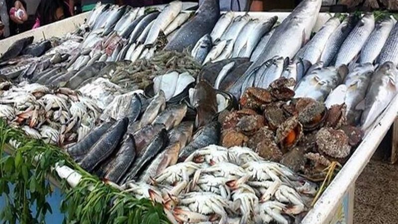 أسعار الأسماك اليوم الإثنين، المكرونة السويسي بـ 130 جنيها وارتفاع جديد في البوري