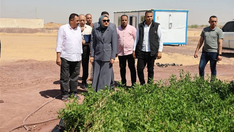 محافظ الوادي الجديد تتابع تطوير موقف الأقاليم الجديد ومصنع تدوير المخلفات الزراعية