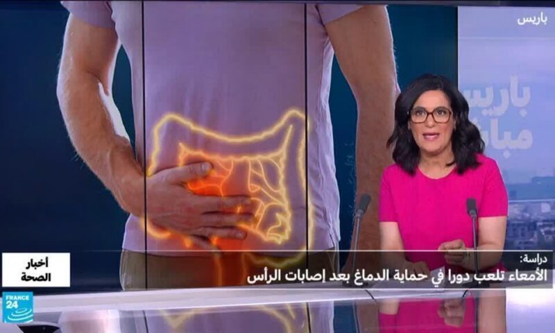 كيف تحمي الأمعاء الدماغ بعد الإصابة؟