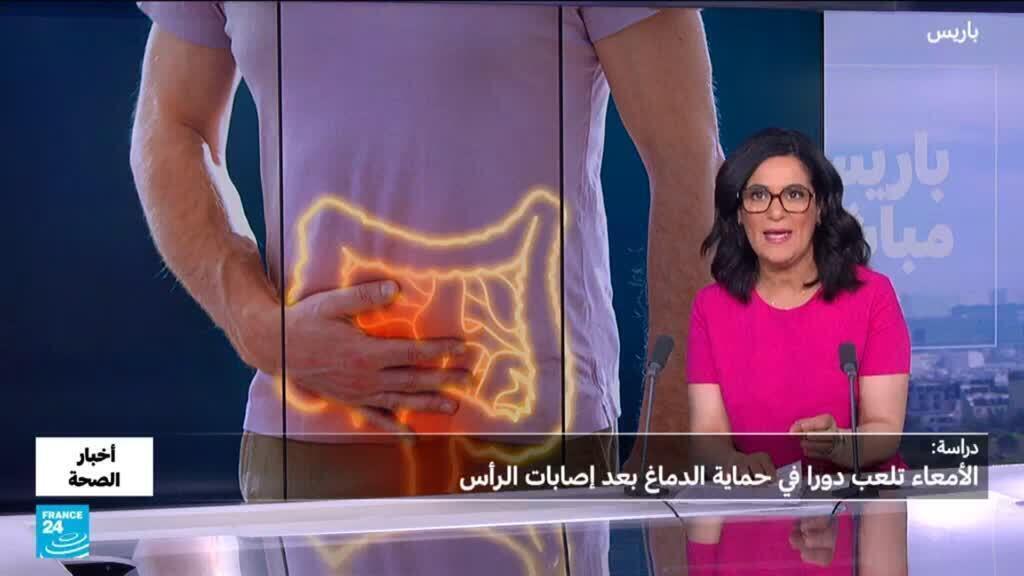 كيف تحمي الأمعاء الدماغ بعد الإصابة؟