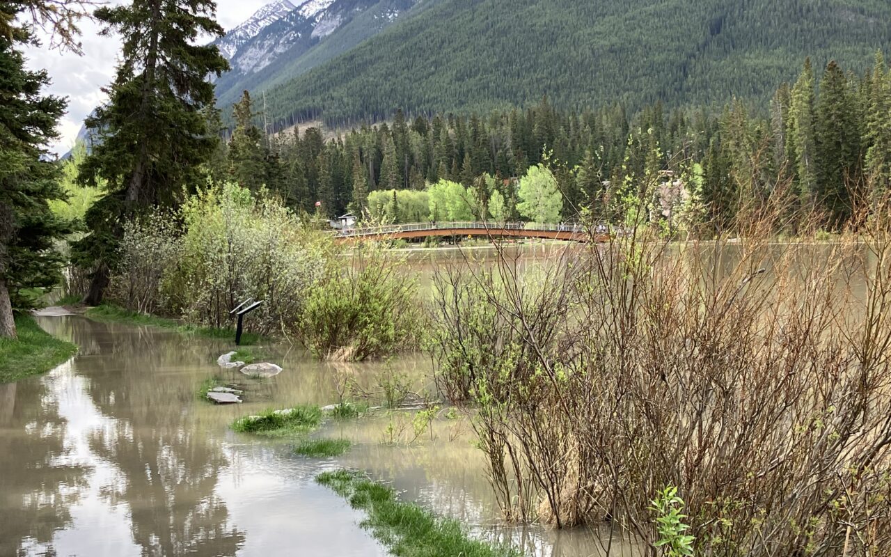 Alberta heavy rain will taper off to showers Tuesday: Environment Canada