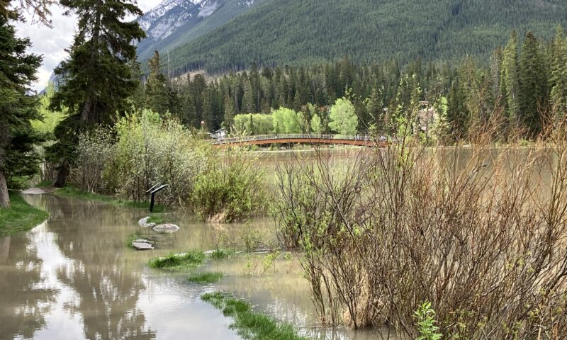 Alberta heavy rain will taper off to showers Tuesday: Environment Canada
