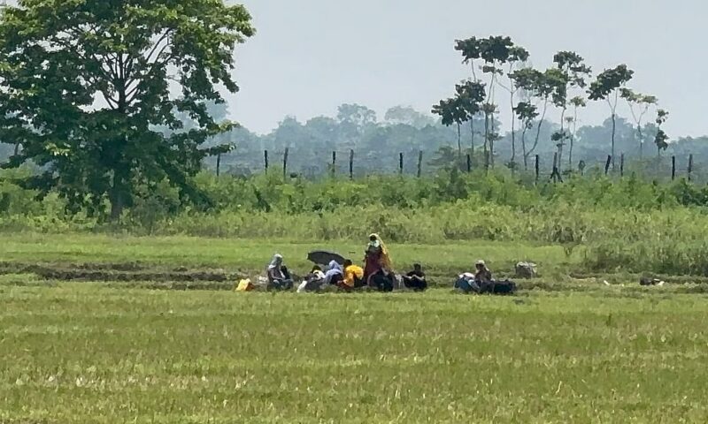 BSF attempts to ‘push in’ 13, including women and children, through Jashore border