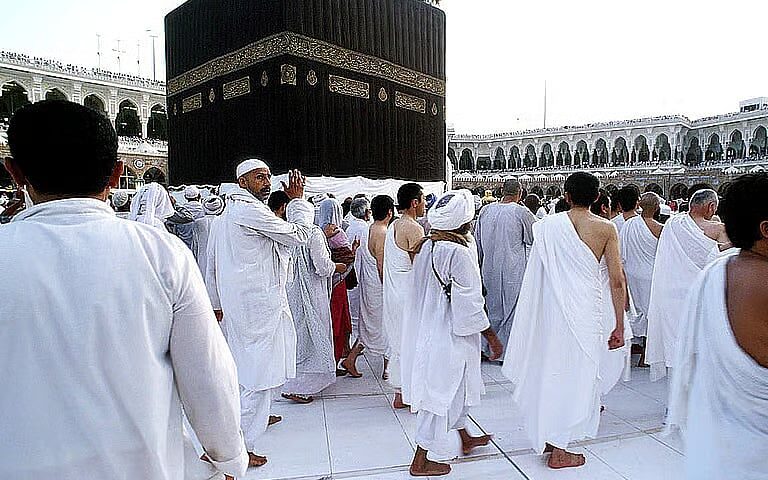 مسؤول: دقيقتان فقط لإنهاء إجراءات التحقق من بيانات الحجاج وتفويجهم لمساكنهم بالمدينة المنورة