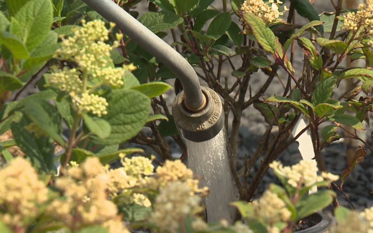 Metro Vancouver moving to Stage 3 water restrictions, but they might not last