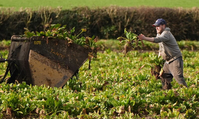 EU countries resist tighter definition of ‘farmer’ in CAP talks