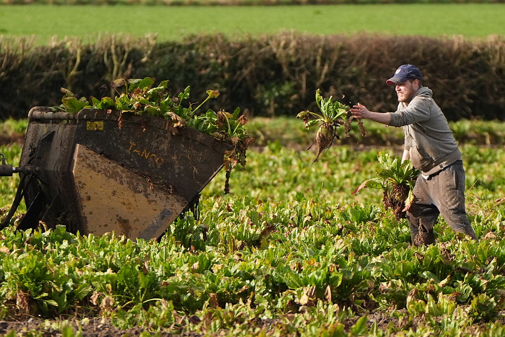 EU countries resist tighter definition of ‘farmer’ in CAP talks