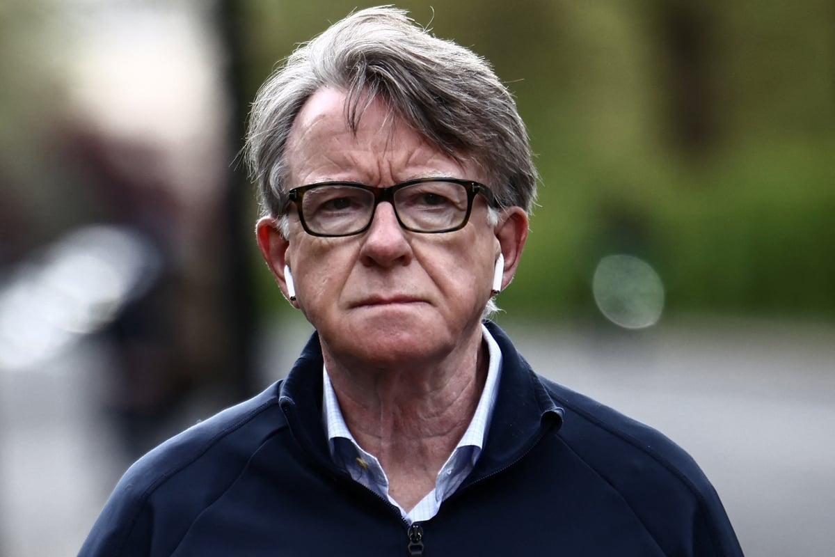 Peter Mandelson files reveal The Thick of It may have been closer to reality than we knew