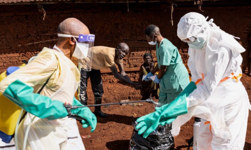 EU health ministers set emergency talks on Ebola response