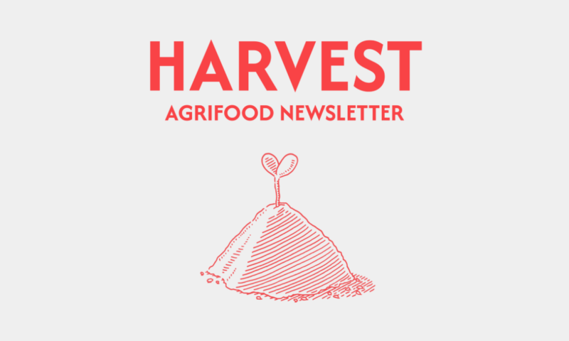 HARVEST: To be or not to be a farmer