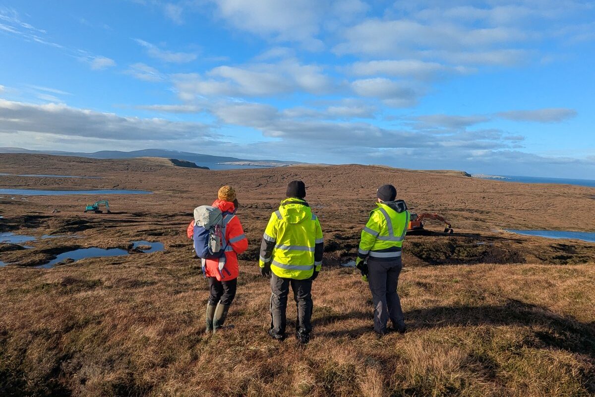 Scotland’s peatland restoration project sees record results after surge in funding
