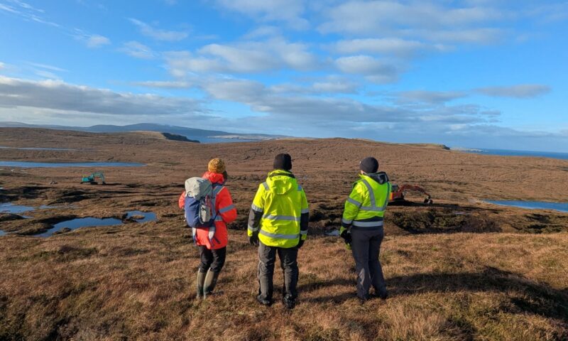 Scotland’s peatland restoration project sees record results after surge in funding