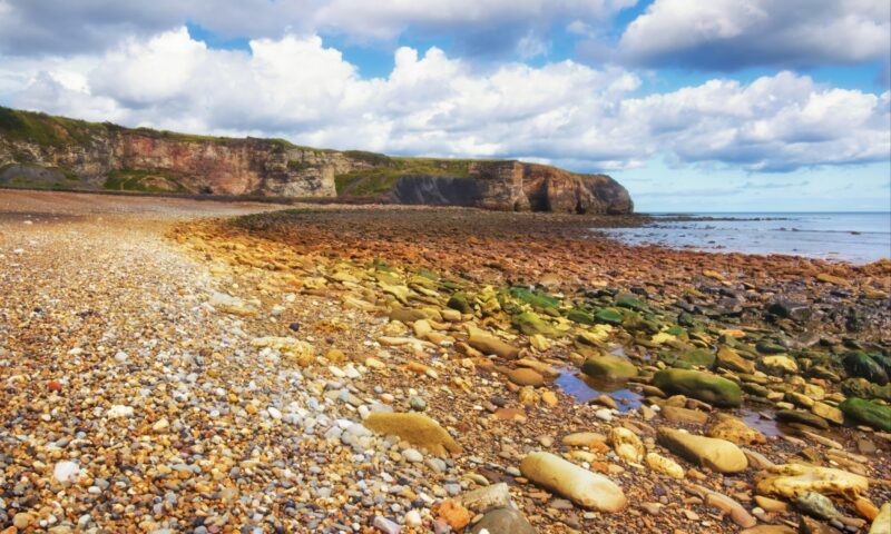 The historic harbour town with scenic walking routes and a buzzing food festival