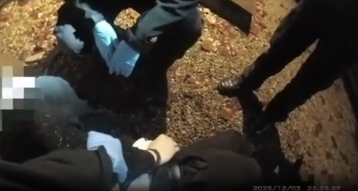 Chilling bodycam of Henry Nowak arrest shows handcuffed student telling officers he’s been stabbed