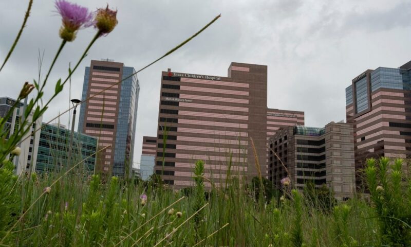 New details released on Texas Children’s Hospital’s planned detransition clinic