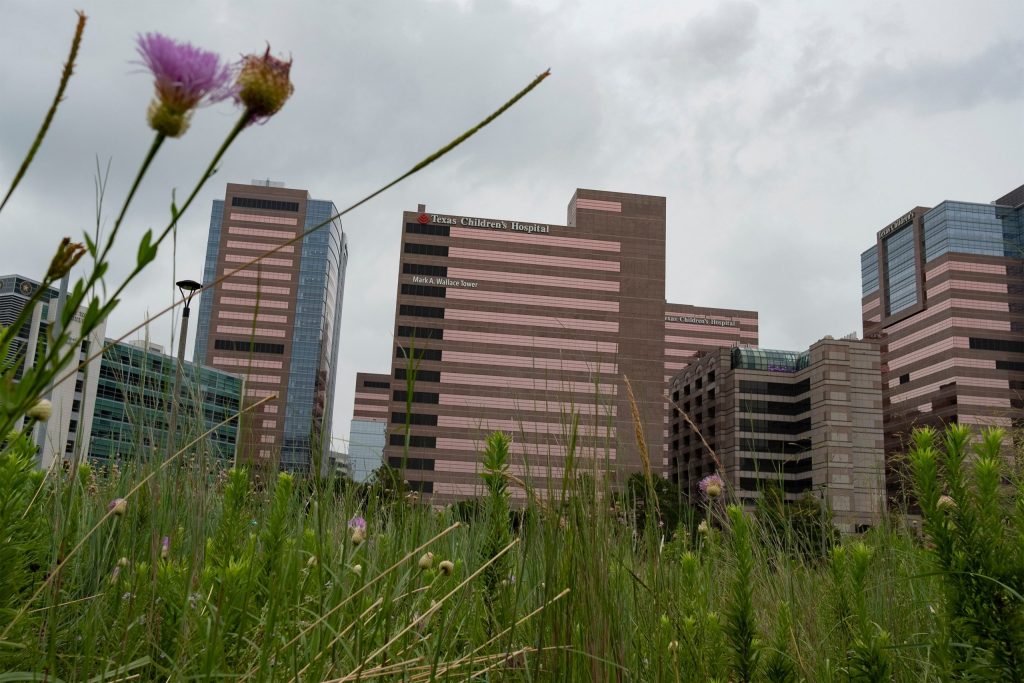 New details released on Texas Children’s Hospital’s planned detransition clinic