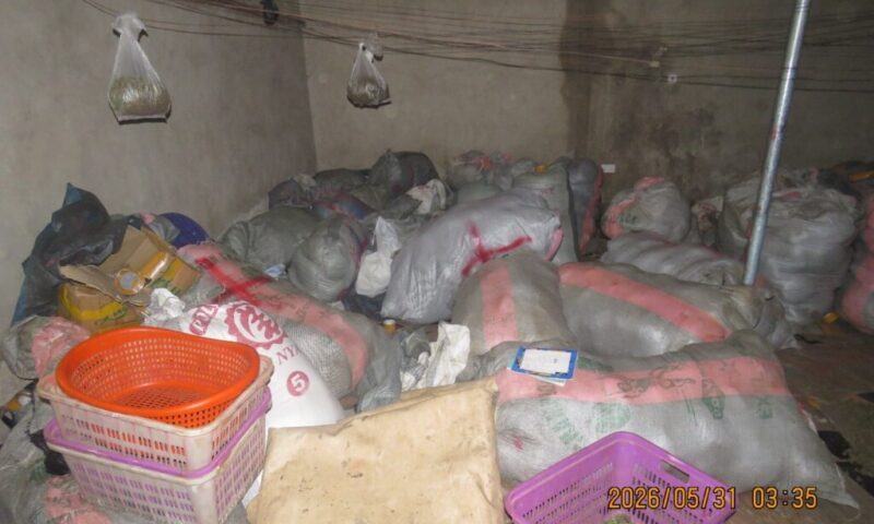 NACOC seizes 2.3 tonnes of suspected cannabis valued at GH¢1.18 million in Hohoe operation