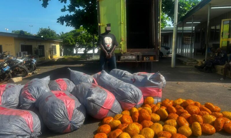 Tema Police intercept sacks of suspected Indian hemp; one arrested