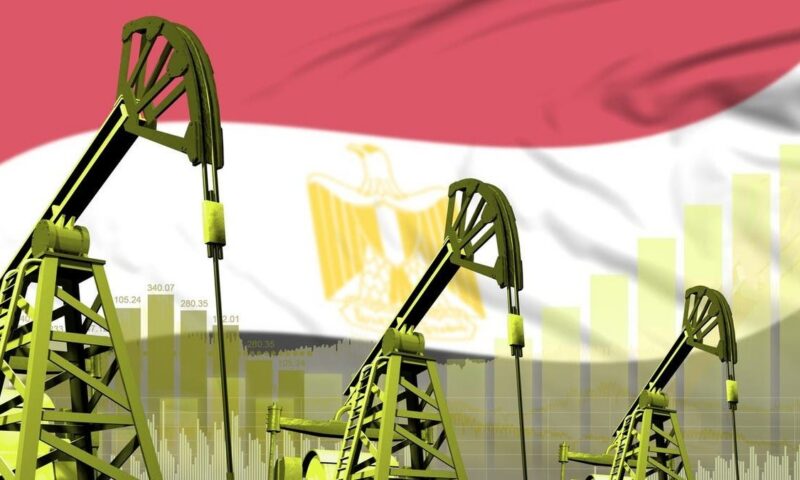 مصر تدرس التحوط ضد تقلبات أسعار النفط في العام المالي الجديد