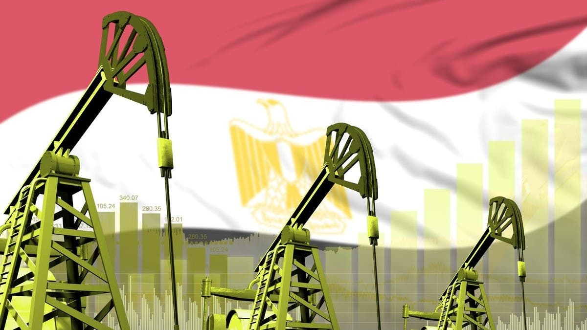 مصر تدرس التحوط ضد تقلبات أسعار النفط في العام المالي الجديد