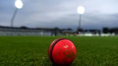 ICC to trial pink balls to limit bad light stoppages