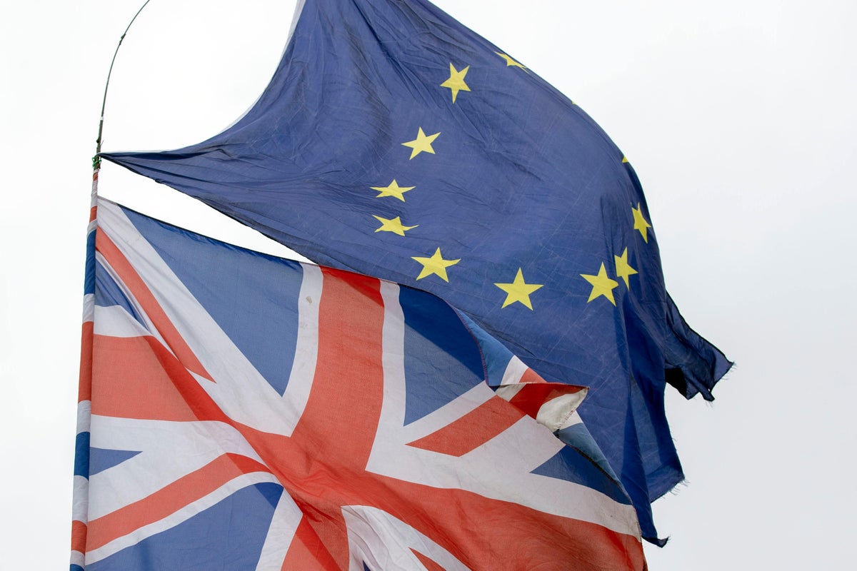 Britain rejoining the EU in future is ‘an inevitability’, says minister