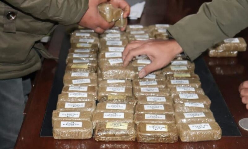 بيان للجيش: ضبط 223 مصرياً وأجنبياً متورطين في تهريب الذهب والمخدرات  