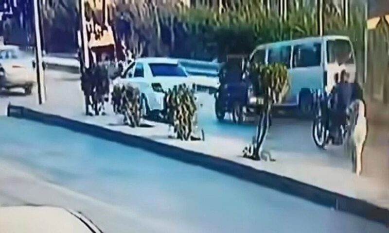 فيديو.. سائق ميكروباص يدهس أسرة كاملة ويلوذ بالفرار في مصر