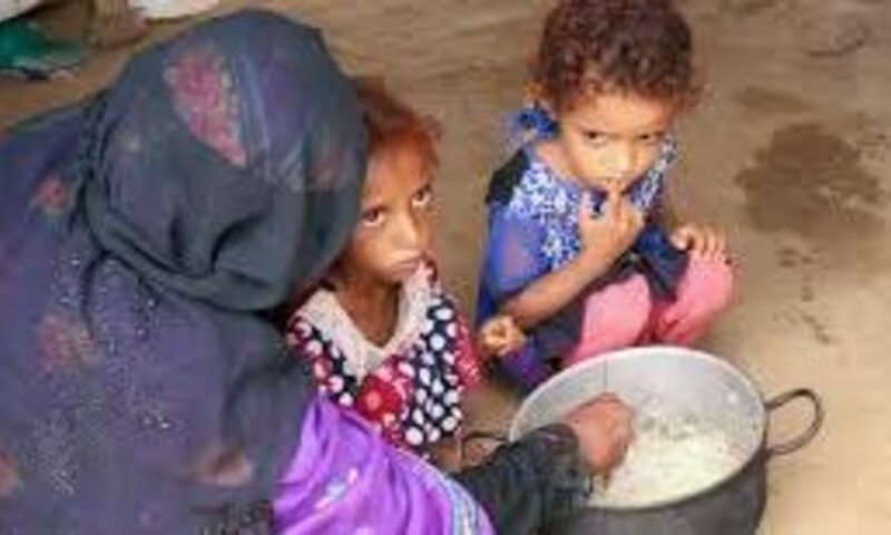 الأمم المتحدة تحذّر من انهيار الأمن الغذائي في اليمن