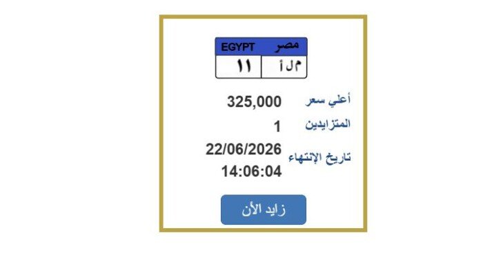 سعرها وصل 325 ألف جنيه.. خطوات التزايد على لوحة سيارة مميزة