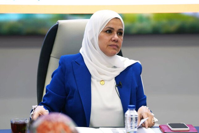 رشا عبد العال: التمديد يعزز الاستقرار الضريبي ويجذب الاستثمار