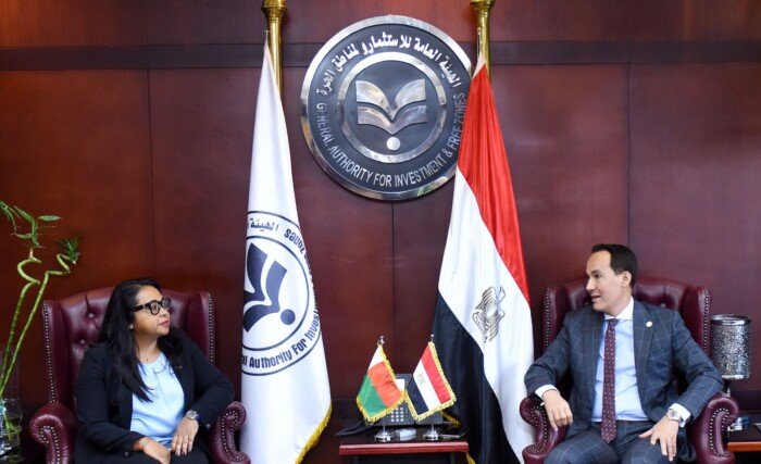 مصر تشارك خبراتها في التحول الرقمي وخدمات المستثمرين مع وفد مدغشقر