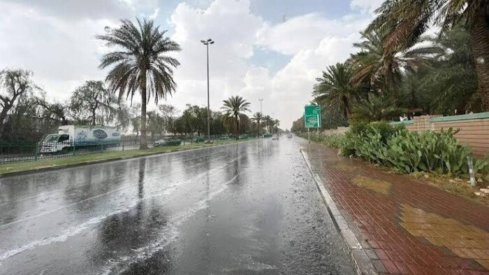 عاجل| سقوط أمطار على عدة مناطق بالقاهرة والجيزة رغم الحر