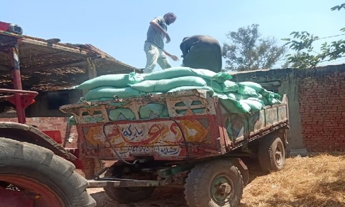 في حملات تموينية على الأسواق.. الداخلية تضبط 13 طن دقيق مدعم آخر 24 ساعة