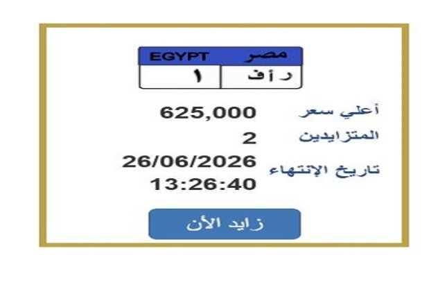 سعرها تخطى 600 ألف جنيه.. خطوات التزايد على لوحة سيارة مميزة