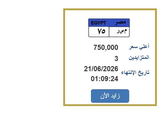 سعرها اقترب من مليون جنيه.. مزايدة نارية على لوحة سيارة مميزة «اعرف الخطوات»