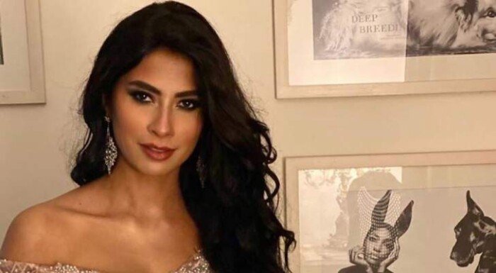 تفاصيل رسالة روبي لـ جمهورها بعد حفلها في العاصمة الإدارية