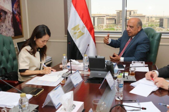 وزير الكهرباء: خطة مصرية يابانية لرفع مساهمة الطاقة المتجددة لـ 45% بحلول 2028