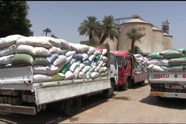 محافظ سوهاج: توريد 184 ألف قمح إلى الشون والصوامع