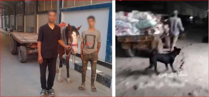 بعد تداول الفيديو.. الداخلية تضبط المتهمين بإلقاء المخلفات في المرج