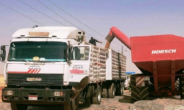 157 ألف طن قمح بصوامع وشون أسوان.. واكتمال الطاقة التخزينية لصومعتي إدفو والراجحى