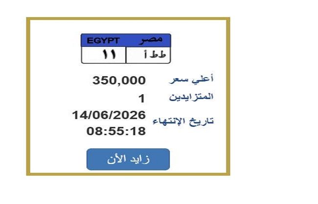 سعرها 350 ألف جنيه.. خطوات التزايد على لوحة سيارة مميزة
