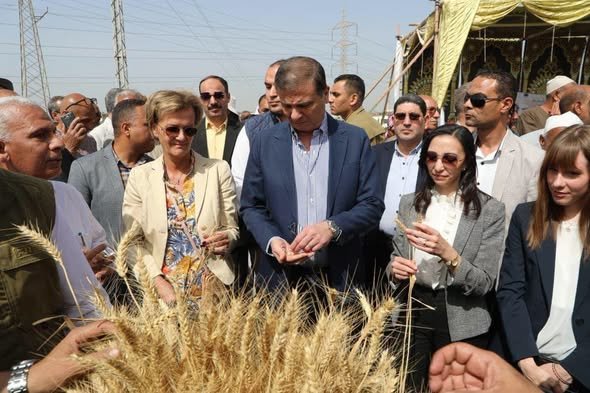 12 عاما من الإنجازات.. قفزات تاريخية في الإنتاج الزراعي ومنتجات مصرية تغزو العالم