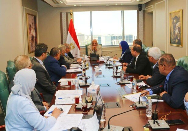 الكهرباء: تنسيق دائم مع وزارة البترول لمتابعة تأمين احتياجات محطات توليد الكهرباء من الوقود