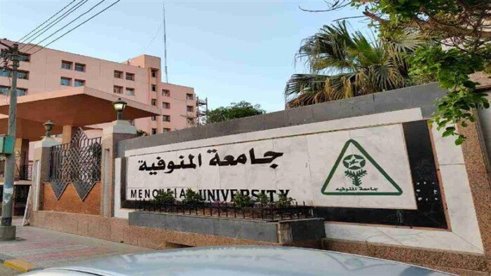 جامعة المنوفية تبحث تعزيز التعاون مع معهد تكنولوجيا المعلومات لدعم التدريب الرقمي