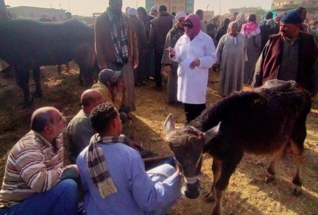 18 ألف زيارة ميدانية.. «الزراعة» تكثف الإنذار المبكر لحماية الثروة الحيوانية والداجنة