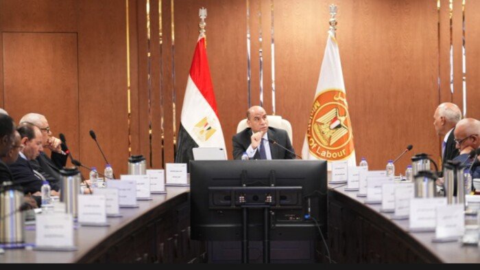 وزير العمل: صندوق الطوارئ قدم إعانات لـ 441 ألف عامل بـ2.557 مليار جنيه في أوقات التحديات
