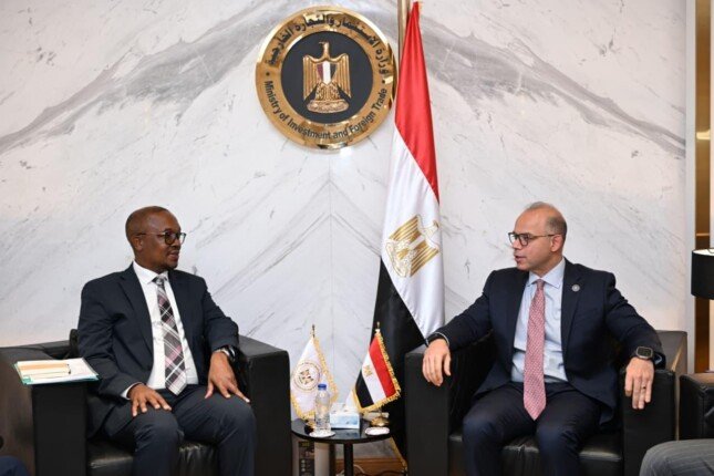 مصر وجنوب إفريقيا يناقشان ملفات صناعية في قطاعات السيارات والأدوية